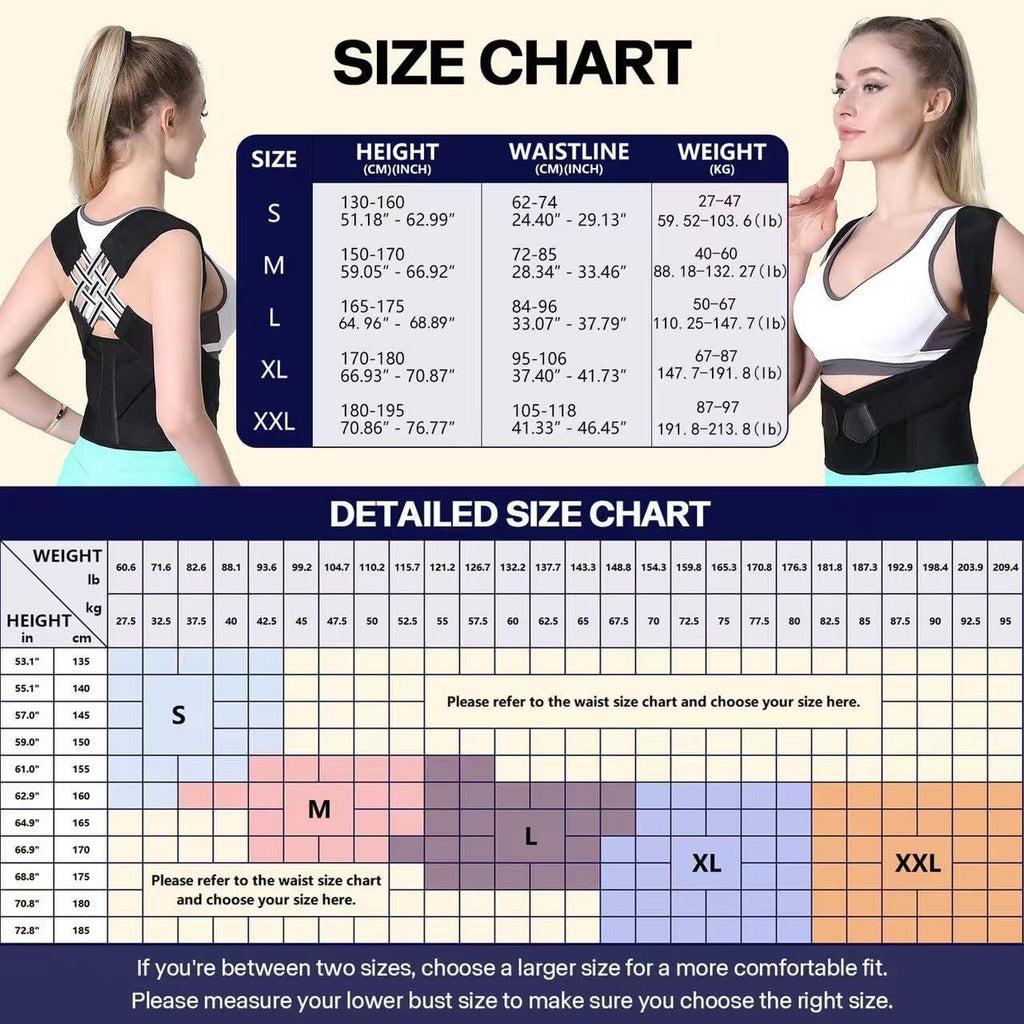 Sports Safety Belt